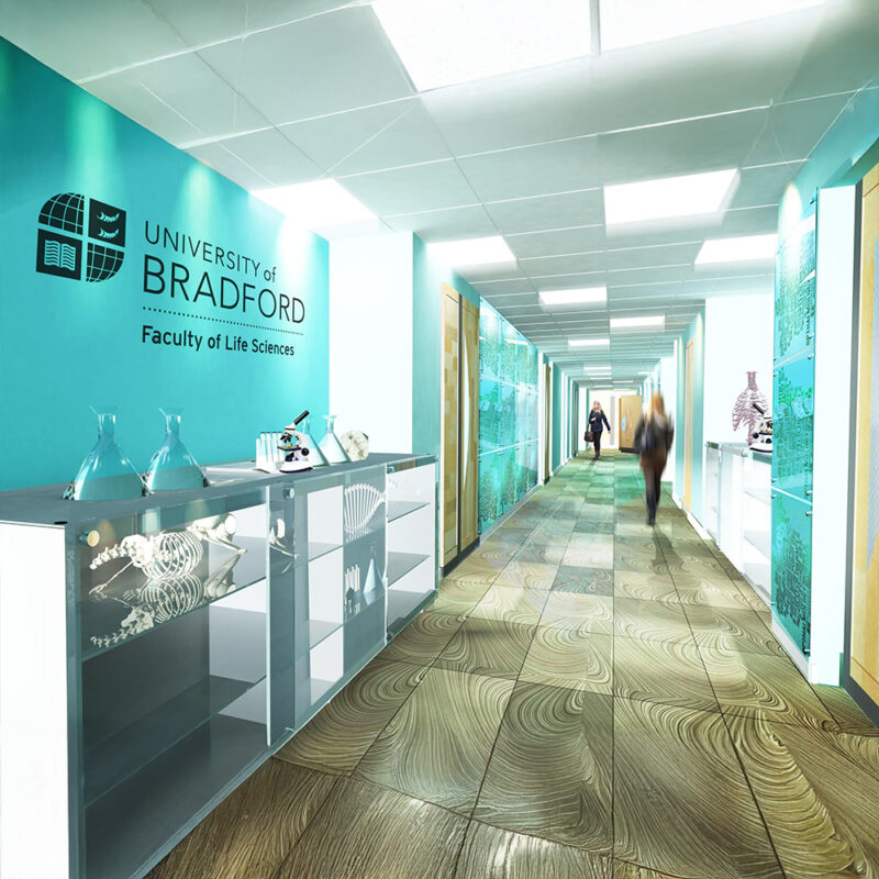bradford-universitesi-programlar