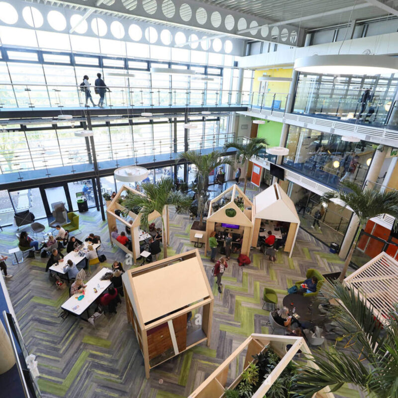 brighton-universitesi-egitim-1536x1536