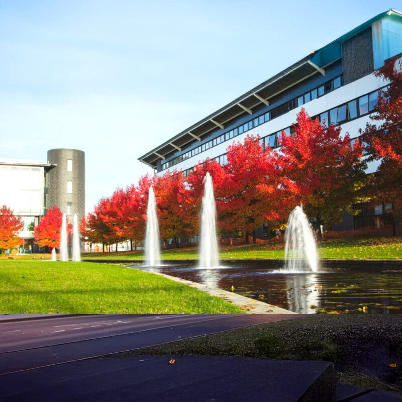 warwick-universitesi-danismanlik